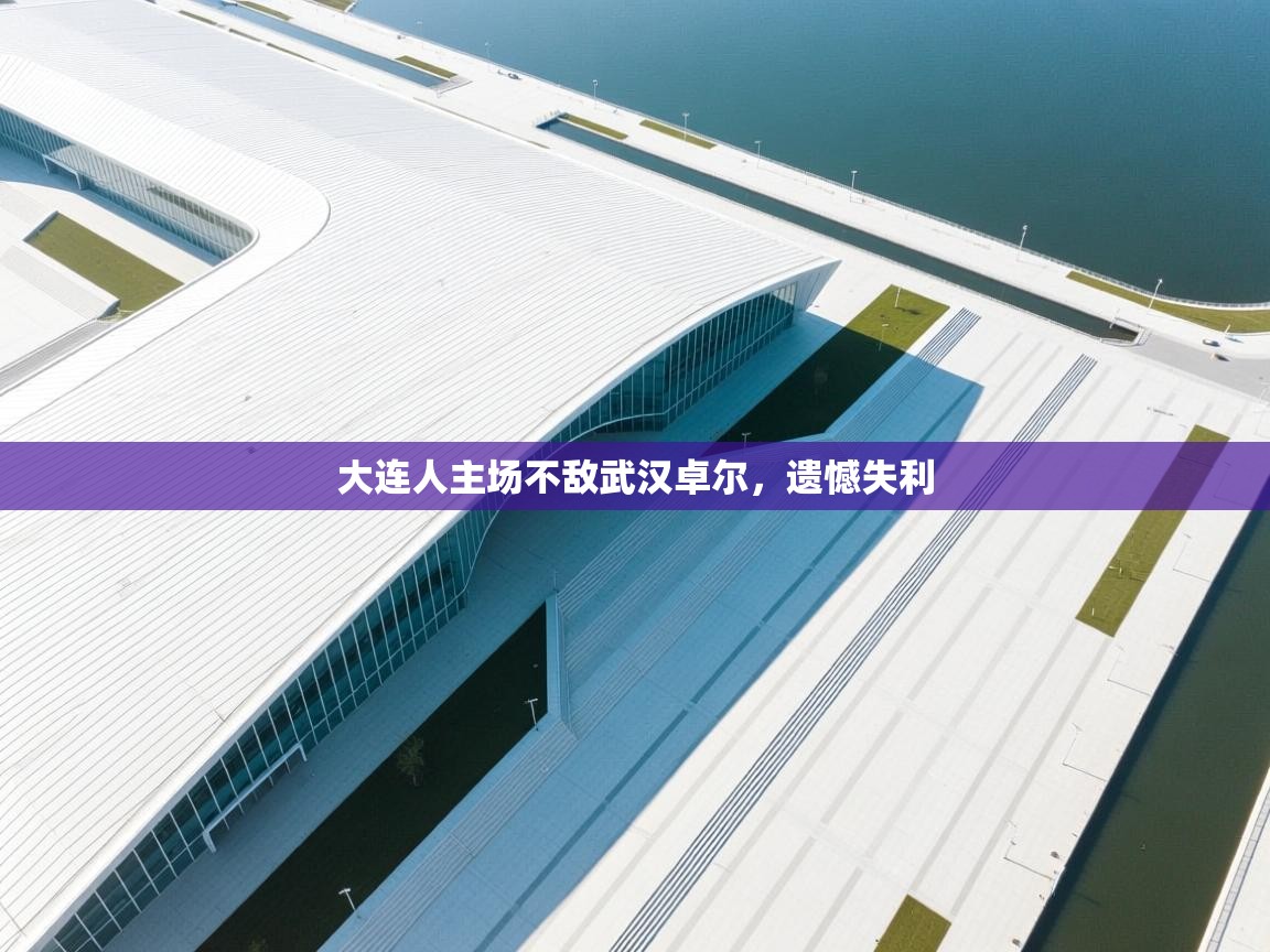 云开体育官网登录入口手机版-大连人主场不敌武汉卓尔,遗憾失利 第1张