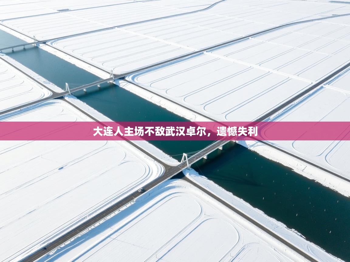 云开体育官网登录入口手机版-大连人主场不敌武汉卓尔,遗憾失利 第3张