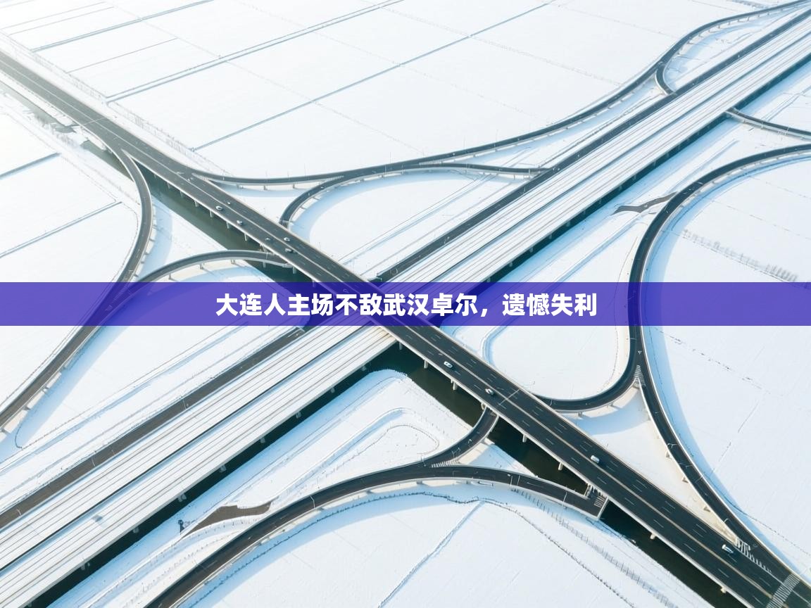 云开体育官网登录入口手机版-大连人主场不敌武汉卓尔,遗憾失利 第4张